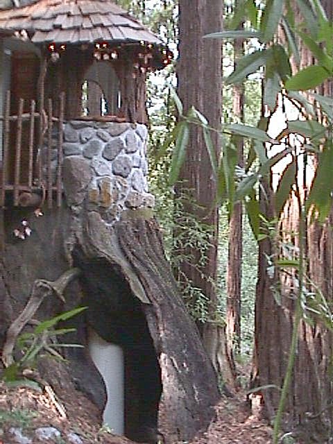 The Stump House