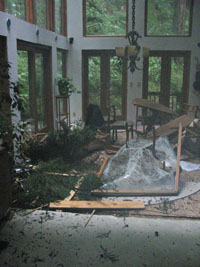 Tree Root Wrapped Dining Room Table